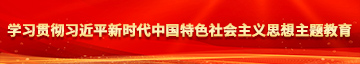 鸡鸡操美女学习贯彻习近平新时代中国特色社会主义思想主题教育